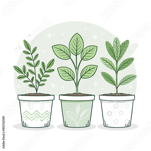 Three potted plants with diverse leaf structures growing indoors in a serene environment from a straightforward viewpoint