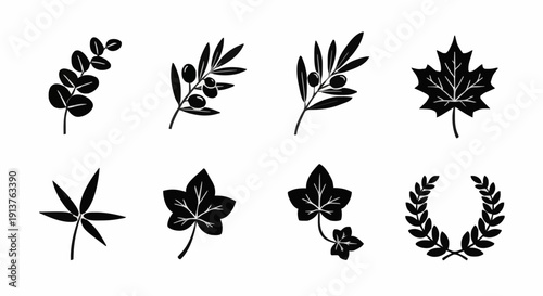 A collection of botanical silhouettes featuring olive branches, laurel wreath, maple leaf, ivy, and eucalyptus for peace symbols and branding.