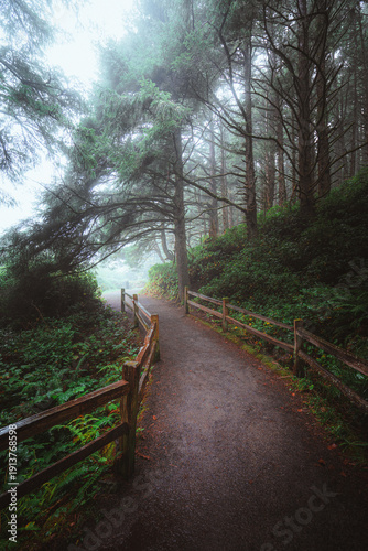 Heceta Head Lighthouse located along the scenic Oregon coast. 