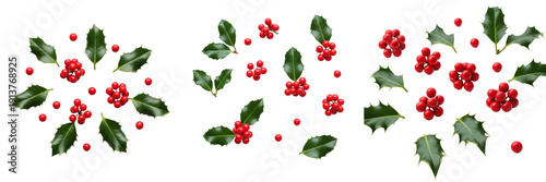 Foto Set of Green Holly Leaves with Red Winter Berries and Christmas Foliage Isolated