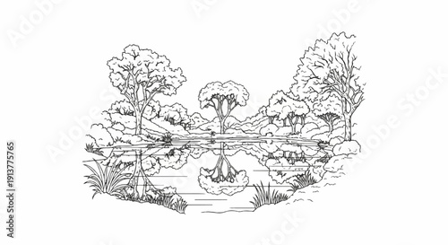 Detailed line drawing of a tranquil forest scene with trees reflected in still water