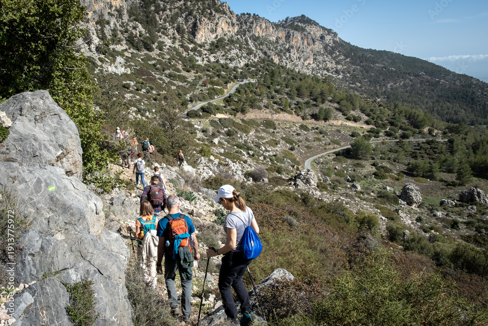 Fototapeta premium Group of hikers trekking along a mountain trail