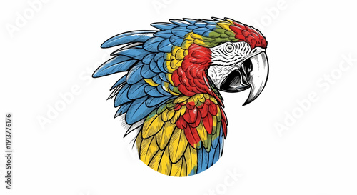 Detailed illustration of a colorful macaw's head and neck feathers