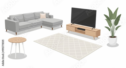 Modern living room with gray sofa, TV stand, and plant on a patterned rug viewed from above