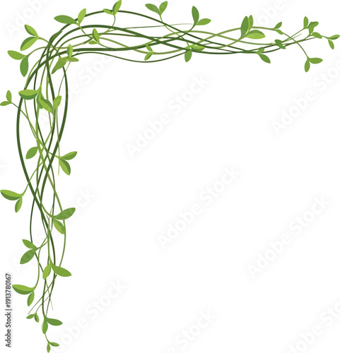 Illustration of lush green vines and leaves forming a decorative corner border