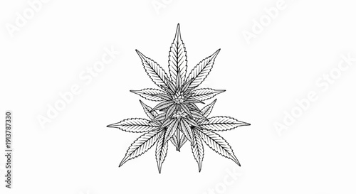 Intricate sketch of a cannabis plant, rendered in black and white
