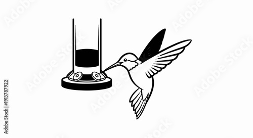 Line art depicts a hummingbird sipping nectar from a feeder