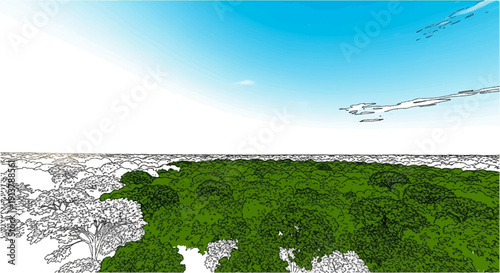 Lush green forest canopy stretches under a vast blue sky with wispy clouds