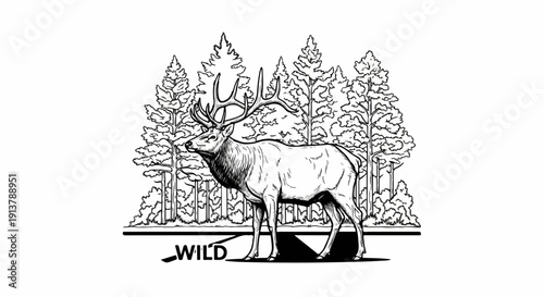 Majestic elk with large antlers stands in a pine forest