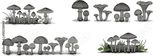Mushroom silhouette set with various fungi types growing on logs and grass isolated on white background for autumn vector designs