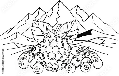 Mountainous backdrop frames fresh berries, including raspberries and blueberries