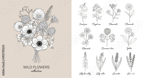 Monochromatic vector illustration of a wild flower bouquet featuring anemones and various botanical elements, isolated on a transparent background for branding or wedding invitations.