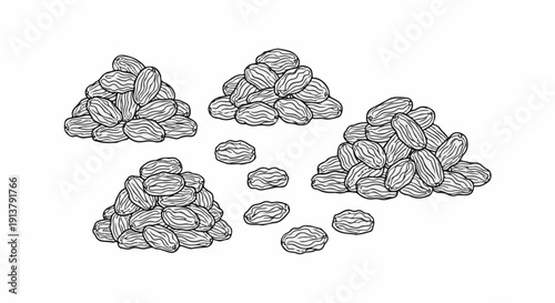 Piles of dried grapes, also known as raisins, arranged on a white background