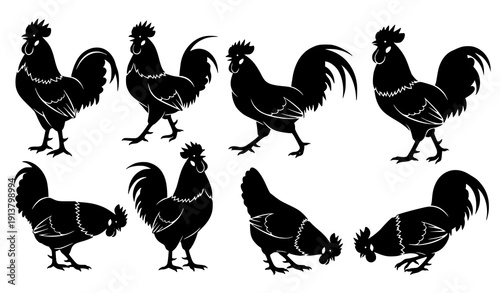 Rooster silhouettes vector set in various poses isolated transparent