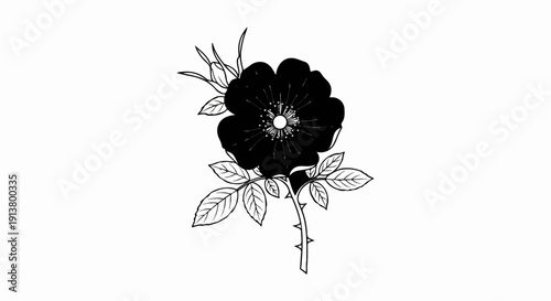 Silhouette of a dark, blossoming flower with a bud and leaves