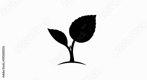 Silhouette of a young plant with two leaves emerging from soil