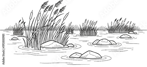 Sketch of cattails and rocks in calm water