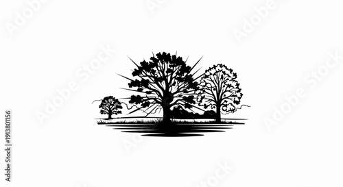 Silhouette of three trees with radiating lines and reflection on water