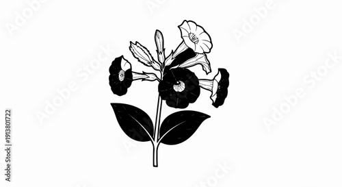 Stylized black and white illustration of a flowering plant with trumpet-shaped blooms