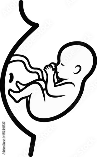 Simple black and white outline of a fetus developing inside a womb