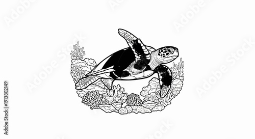 Stylized black and white illustration of a sea turtle swimming through coral reef