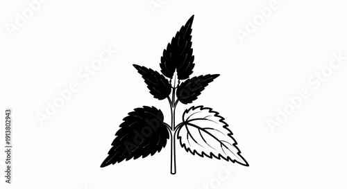Stylized black and white drawing of a plant branch with leaves