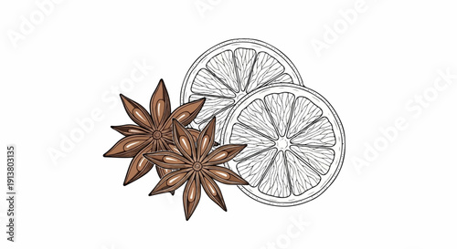 Star anise and citrus slices, line art with brown accents
