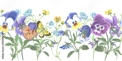 Beautiful horizontal seamless border with blue, maroon, orange pansies and butterfly hand painted in watercolor on isolated background, simple clip art spring botanical illustration for design