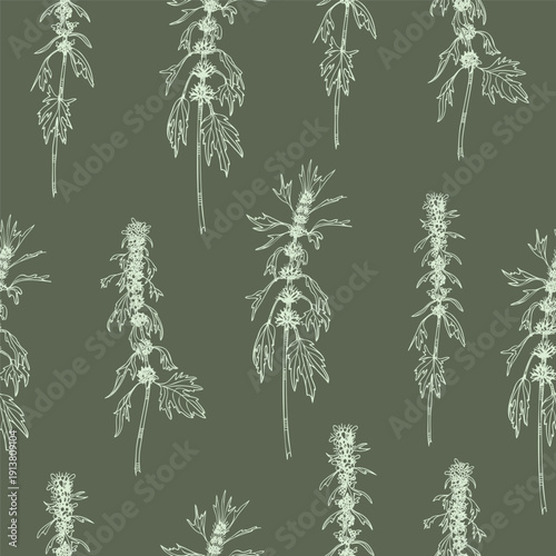 Seamless pattern of Motherwort