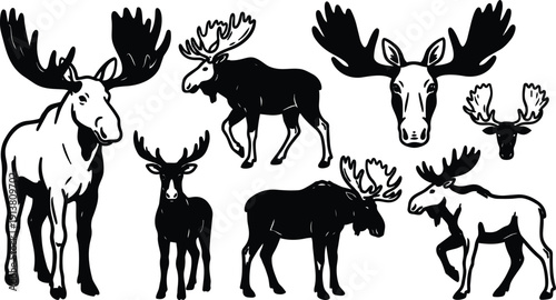 Line art moose silhouettes in varied poses close up head profiles full body standing walking grazing facing camera side collection