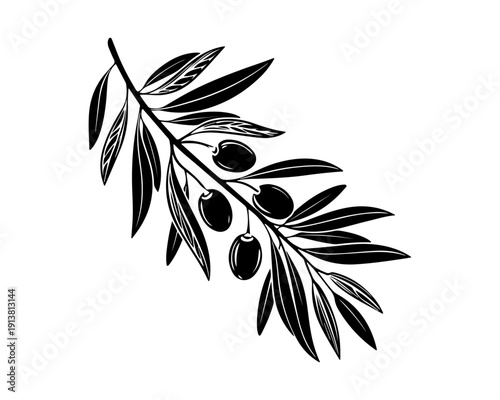 Black Silhouette Olive Branch with Olives. Vector Illustration Isolated on White