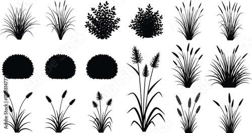 Grass and shrub silhouette collection, ornamental plants bundle, black botanical garden elements, natural foliage icons set, flat vector illustration