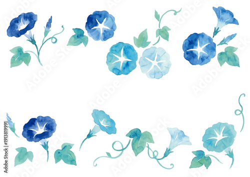 Watercolor Morning Glory Illustration／朝顔・夏