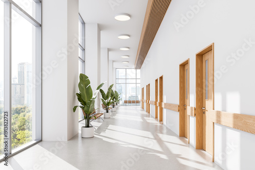 Foto Contemporary hospital corridor interior with wooden doors, potted plants, and large windows in bright daylight