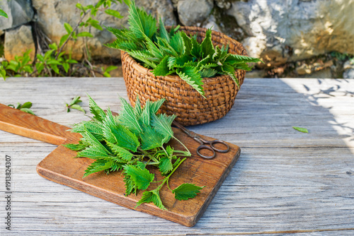 Fotografia Nettle
