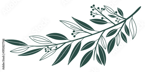 A delicate and intricate illustration of an olive branch with leaves and berries
