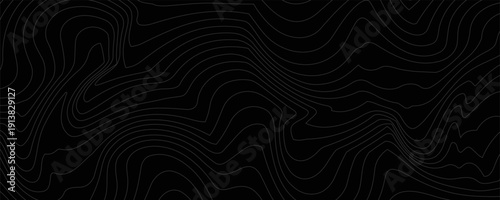 Weather Map Background. Vector Seamless Pattern with Contour Lines. Abstract Linear Topographic Texture