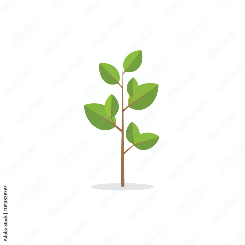 Fototapeta premium Young Green Plant Growing with Fresh Leaves in Natural Environment