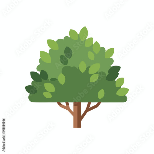 Fresh Green Tree with Lush Foliage for Natural Landscapes and Eco Themes