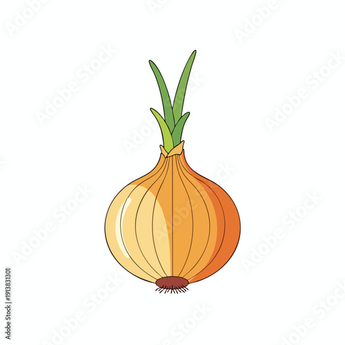 Fresh Yellow Onion with Green Tops