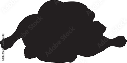 Silhouette of a person lying down on their side