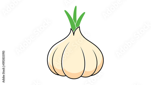 Clean illustration of a whole garlic bulb with green sprouts coming from the top, ideal for culinary and healthy seasoning concepts.