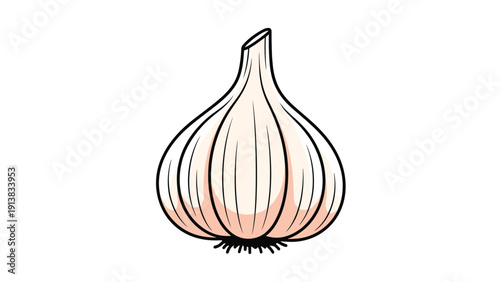 Hand drawn illustration of a garlic bulb with detailed shading and roots at the bottom, suitable for food and organic produce designs.