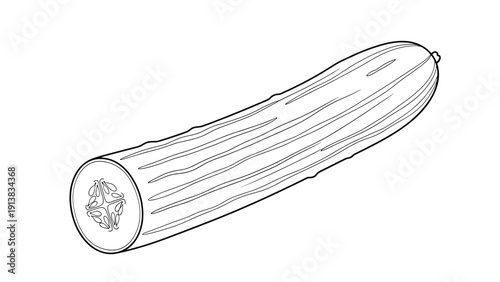 Black and white line art drawing of a whole cucumber showing its textured skin and a cross section on one end.