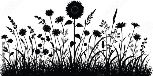 Large collection of black plant silhouettes featuring a tall sunflower various wildflowers grass meadow weeds and botanical leaves isolated on white background for nature design.
