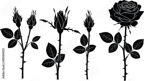 Set of black rose flower silhouettes with buds and thorns for romantic wedding invitations floral pattern design elegant botanical logo and nature garden vector projects.