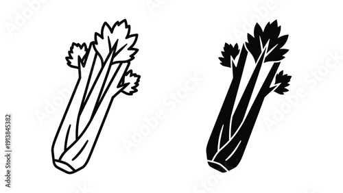 Black and white illustration of two bunches of fresh celery