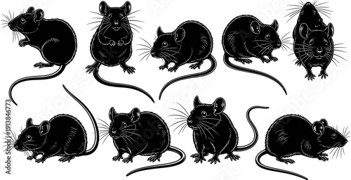 Majestic mouse silhouette collection, wild forest rodent vector set, jumping mouse sitting graphics, nature wildlife animal icons, isolated black rodent elements.
