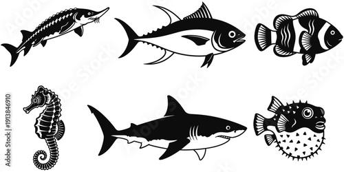 Sea animal fish silhouette collection, wild marine life vector set, shark tuna seahorse graphics, ocean underwater creature icons, isolated black aquatic fauna elements.