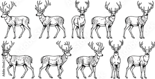 Majestic deer silhouette collection, wild forest buck vector set, woodland animal wildlife graphics, jumping stag hunting icons, isolated black lupine elements.